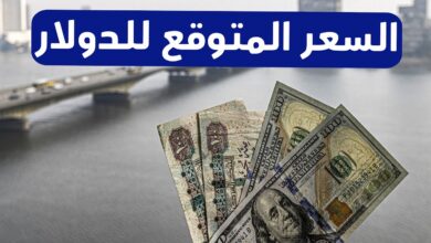 سعر الدولار اليوم في مصر الاربعاء 23 أكتوبر 2024