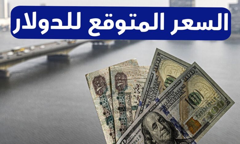 سعر الدولار اليوم في مصر الاربعاء 23 أكتوبر 2024