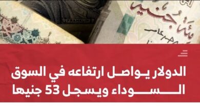 سعر الدولار بالجنيه اليوم الاربعاء 13-11-2024