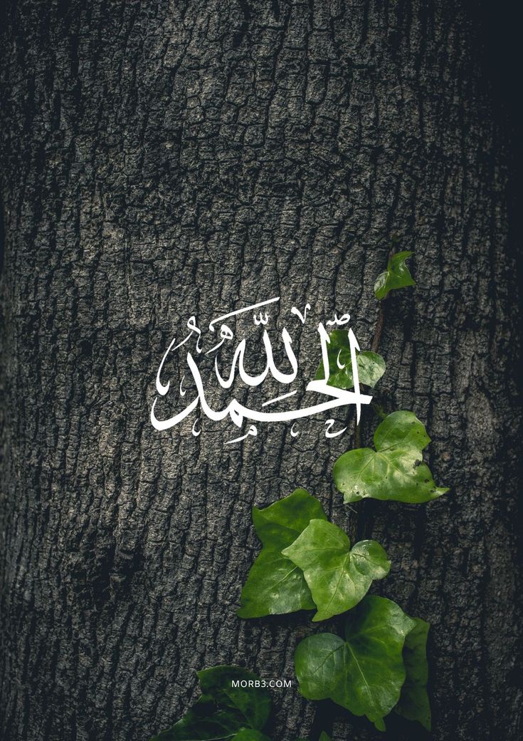 صور كلمة الحمد لله 